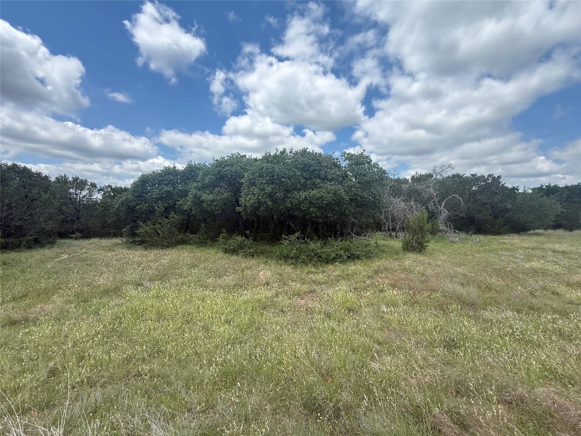20 acres in Hood County - photo 9