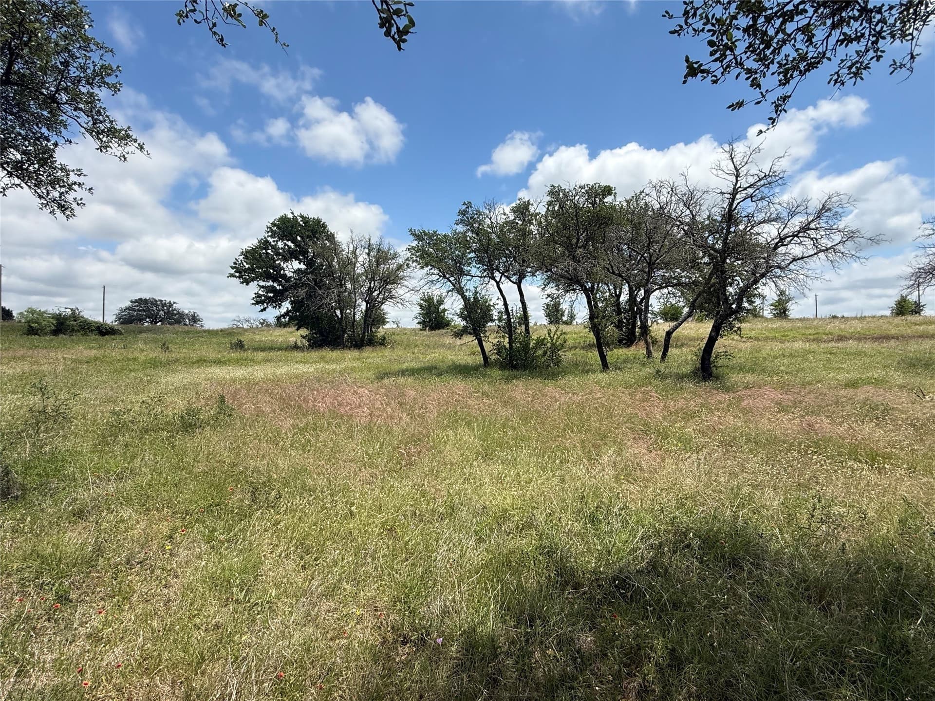 20 acres in Hood County - photo 15