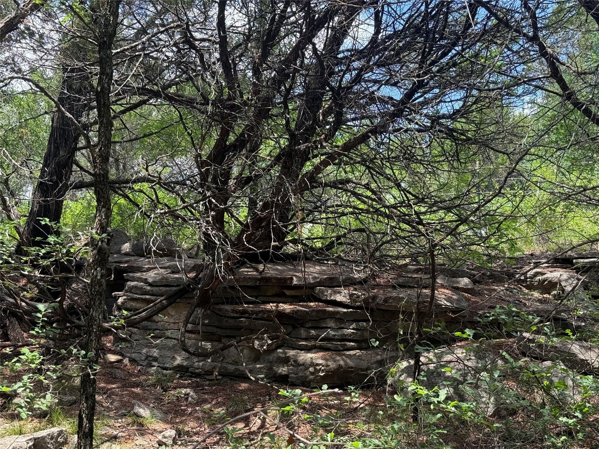 20 acres in Hood County - photo 17