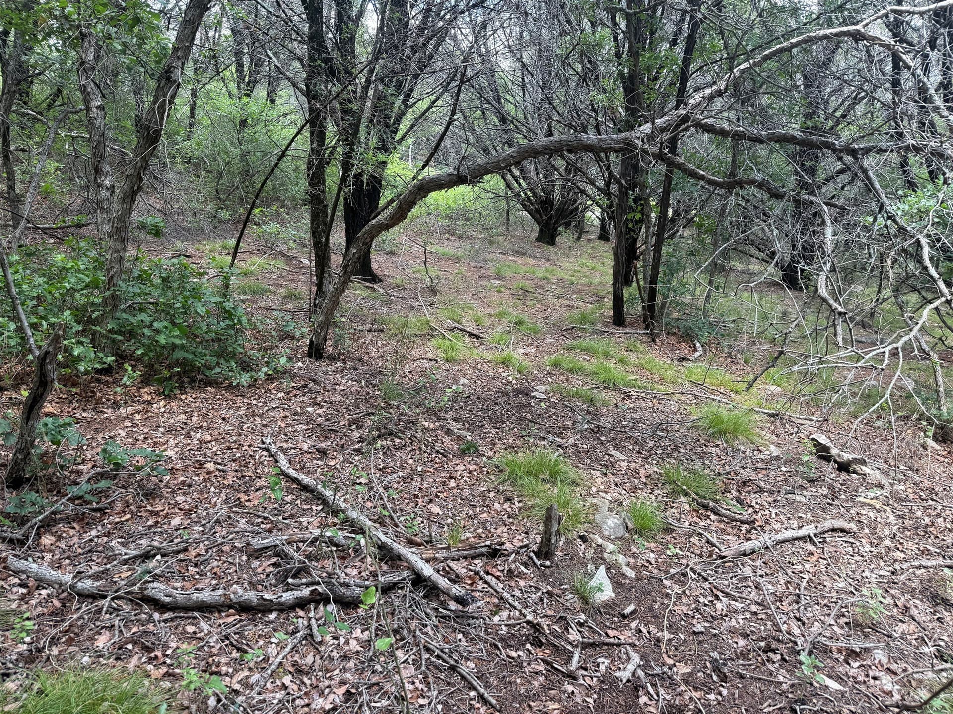 20 acres in Hood County - photo 18