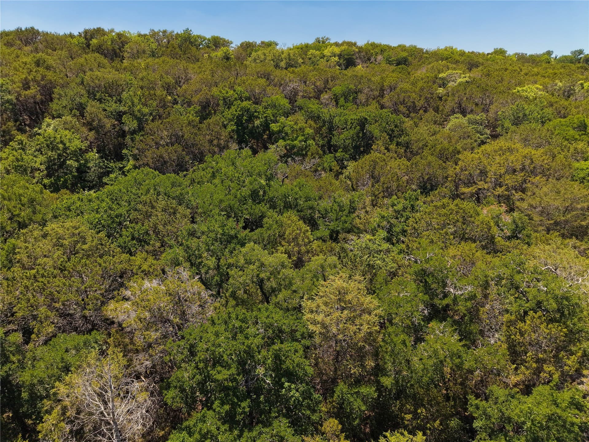 20 acres in Hood County - photo 24