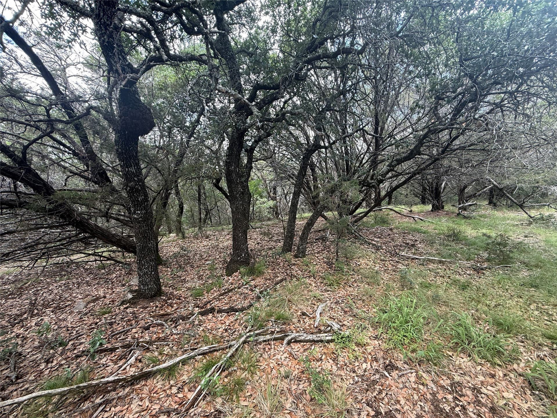 20 acres in Hood County - photo 11
