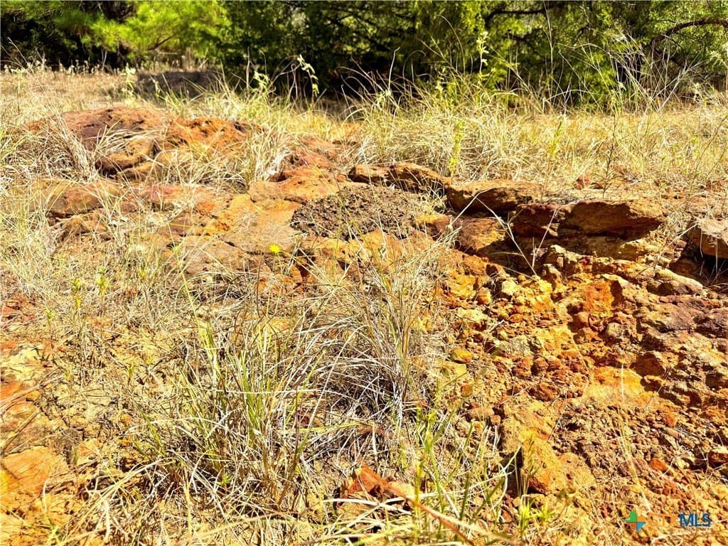 50.62 acres in Bastrop County gallery image 3