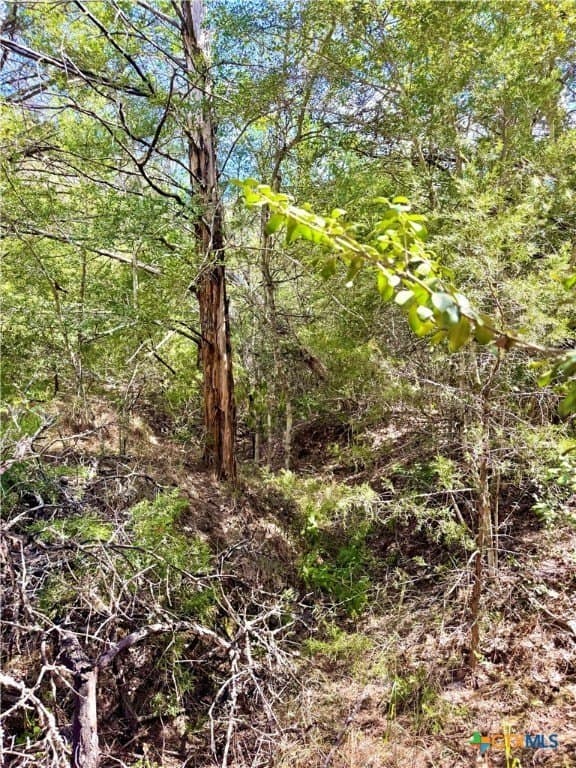 50.62 acres in Bastrop County featured view