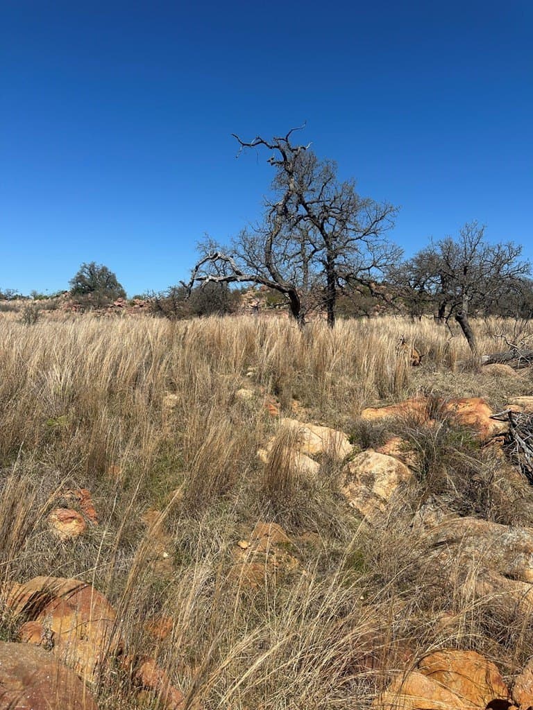 62 acres in Mason County gallery image 2