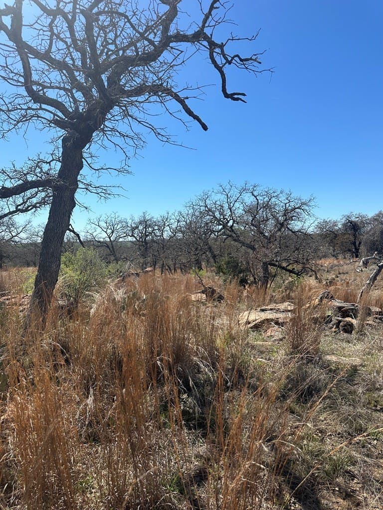 62 acres in Mason County featured view