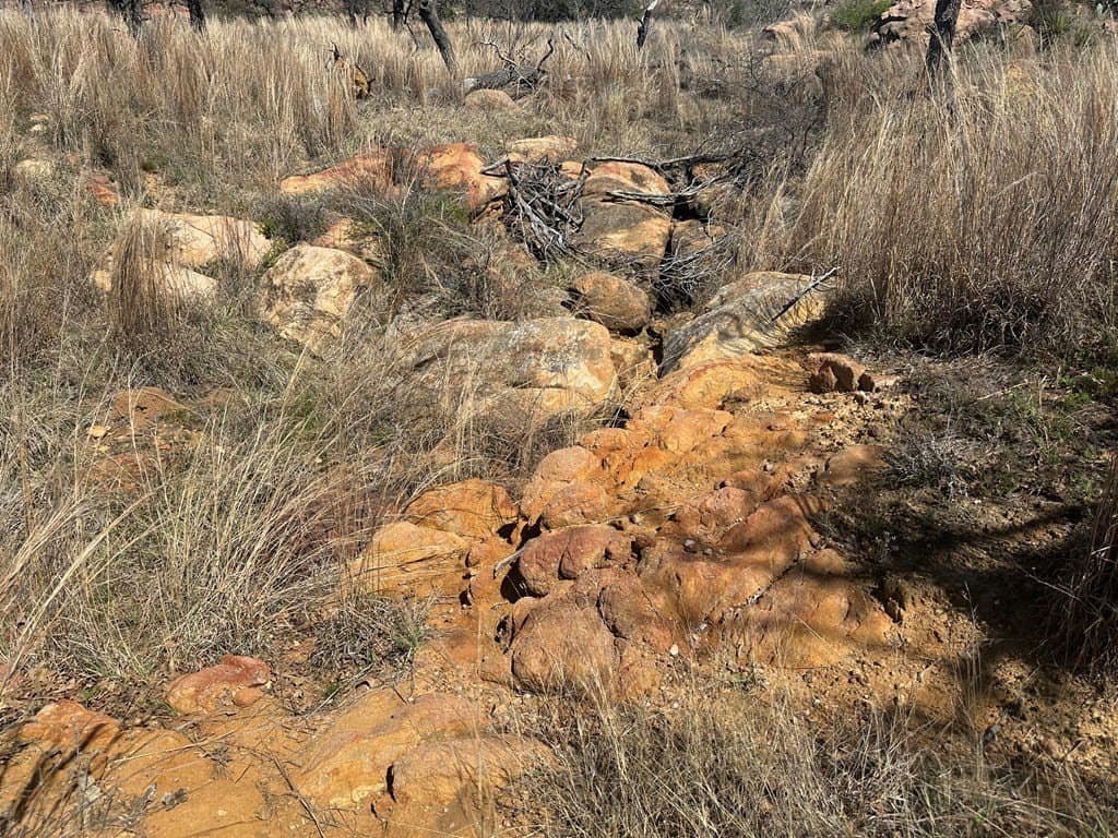 62 acres in Mason County gallery image 4