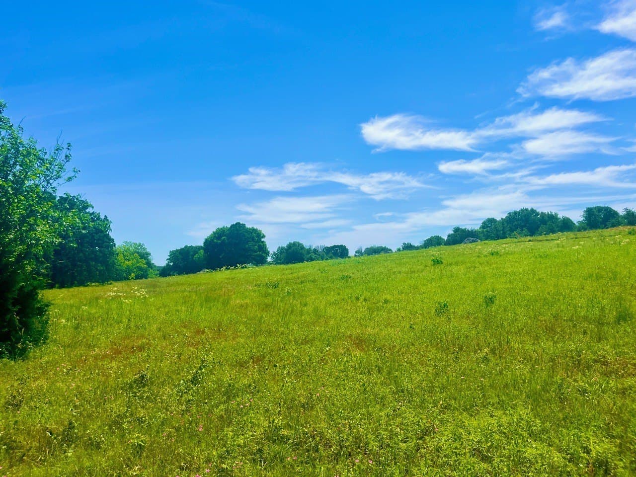 2.2 acres in Parker County - photo 3
