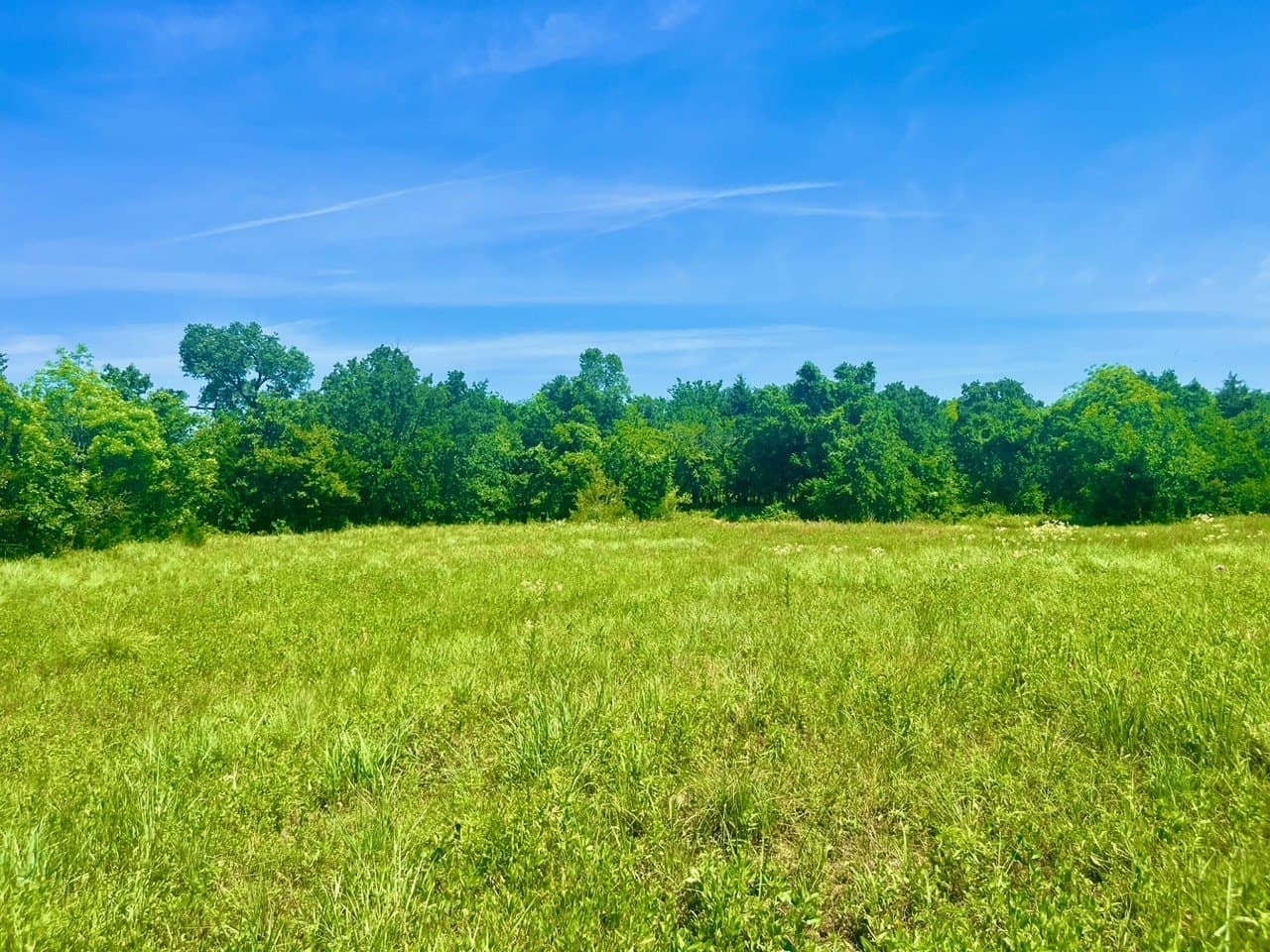 2.2 acres in Parker County - photo 2