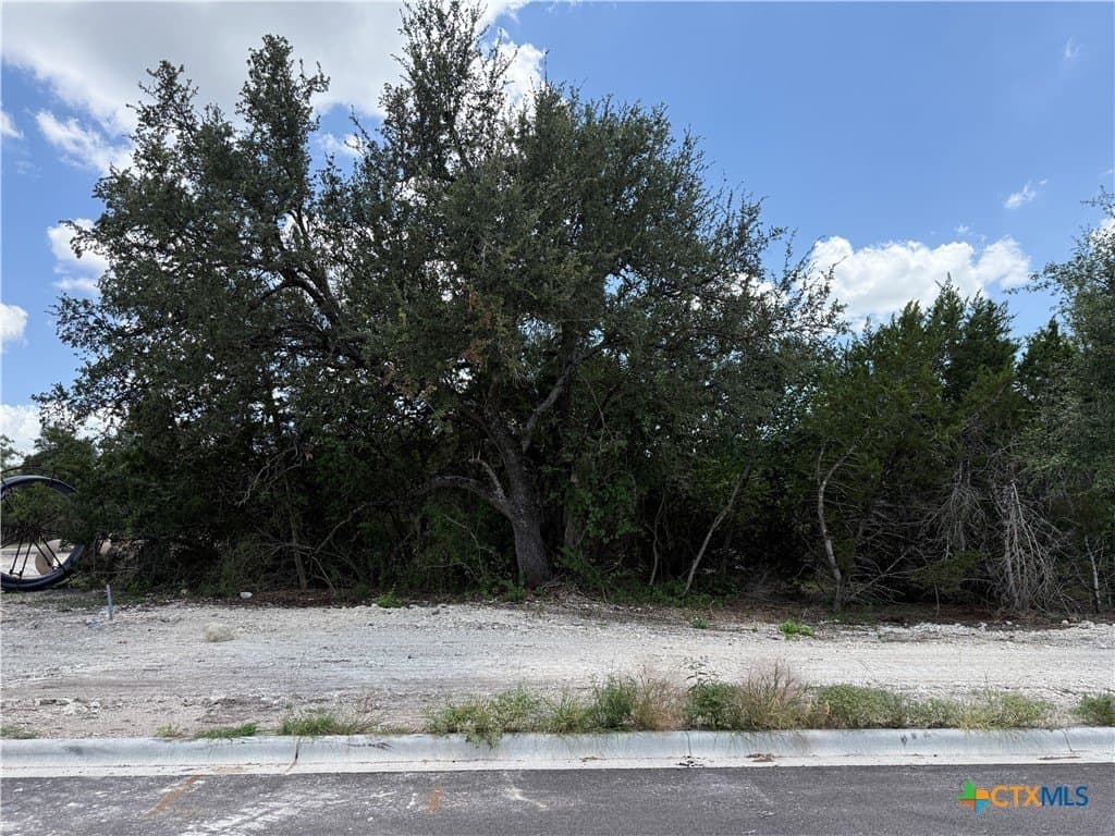 2.82 acres in Bell County - photo 8