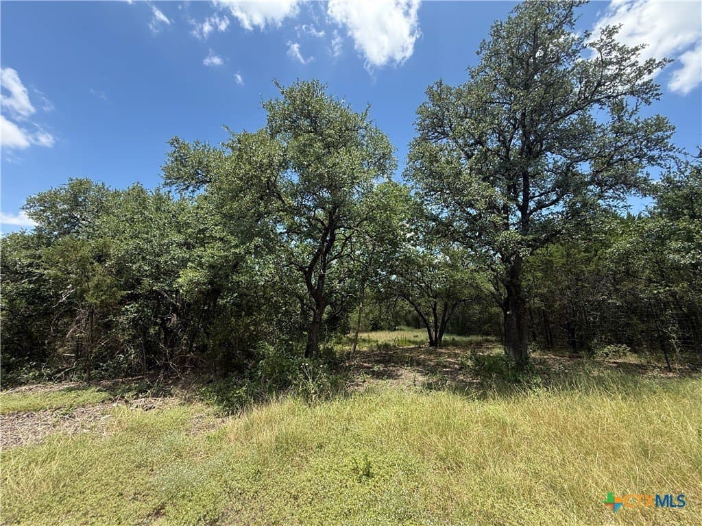 2.82 acres in Bell County gallery image 3