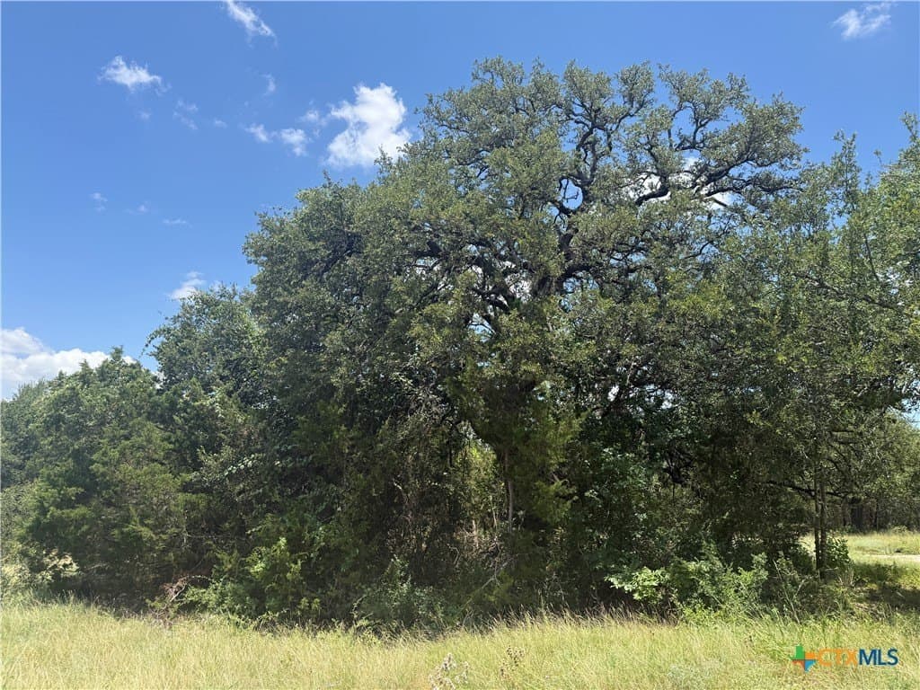 2.82 acres in Bell County gallery image 2