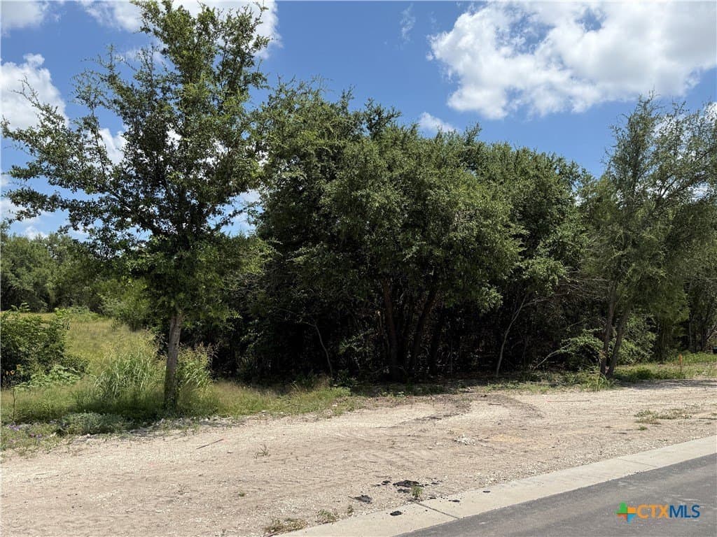 2.82 acres in Bell County - photo 7