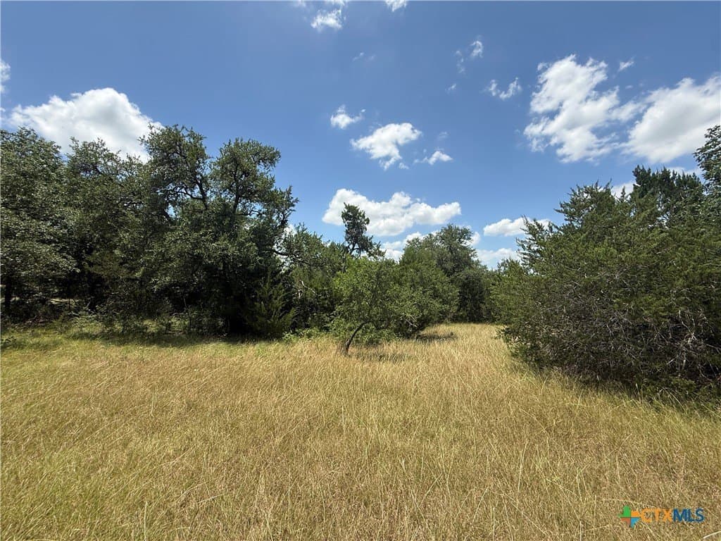 2.82 acres in Bell County gallery image 4
