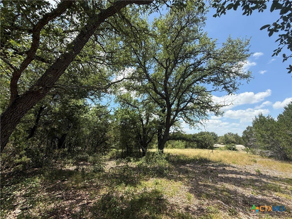 2.82 acres in Bell County - photo 6