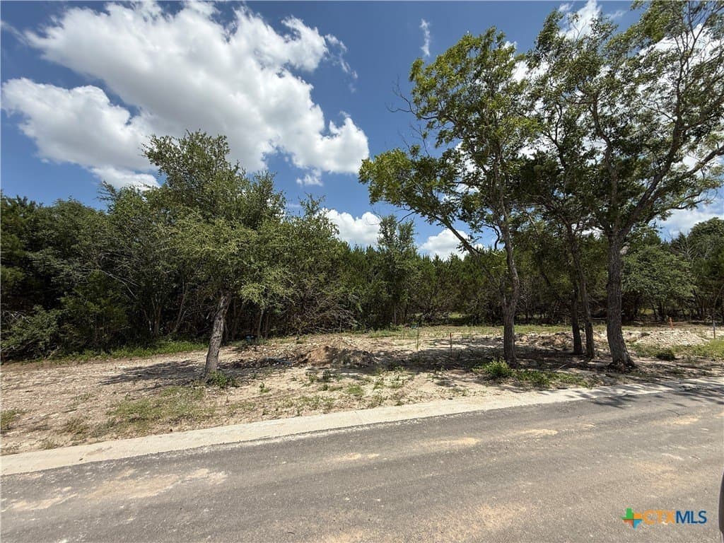 2.82 acres in Bell County - photo 9