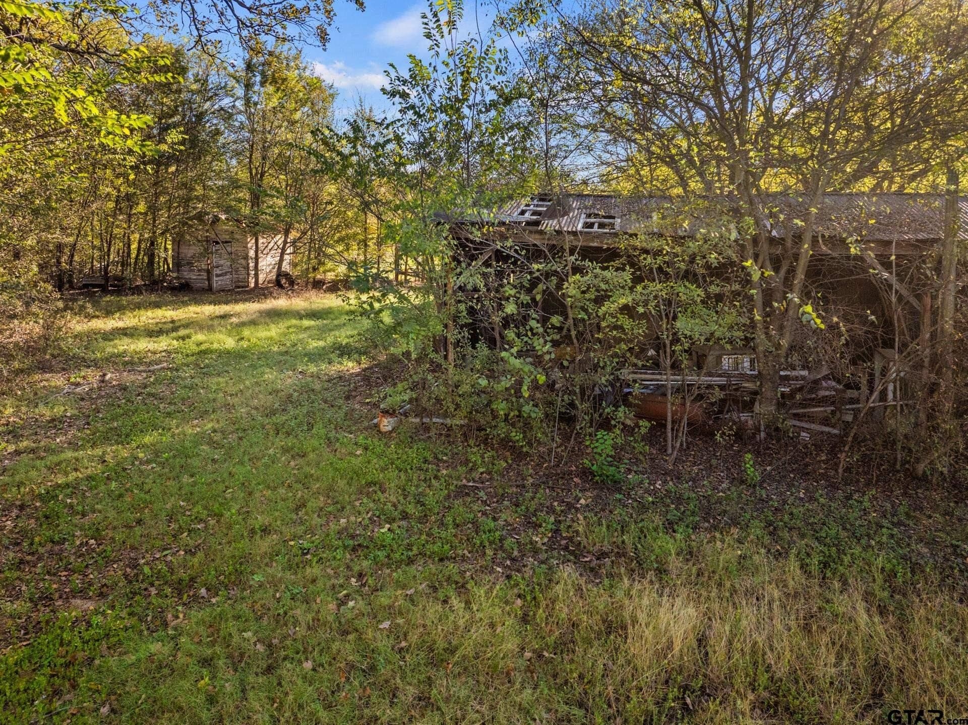 15.32 acres in Titus County - photo 19