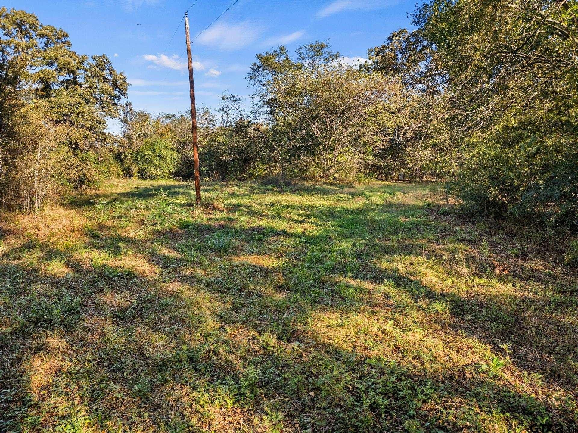 15.32 acres in Titus County - photo 18