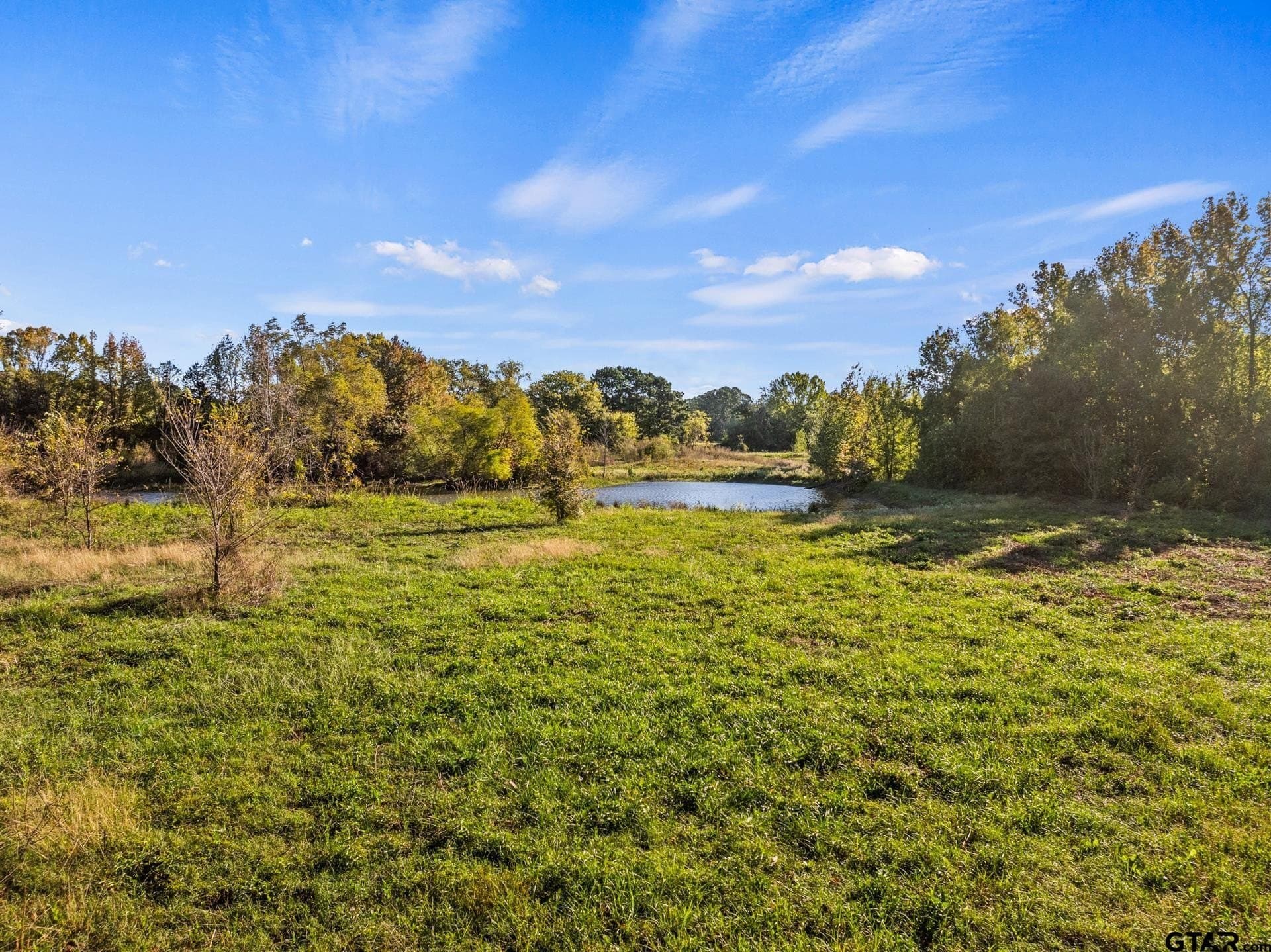 15.32 acres in Titus County - photo 20