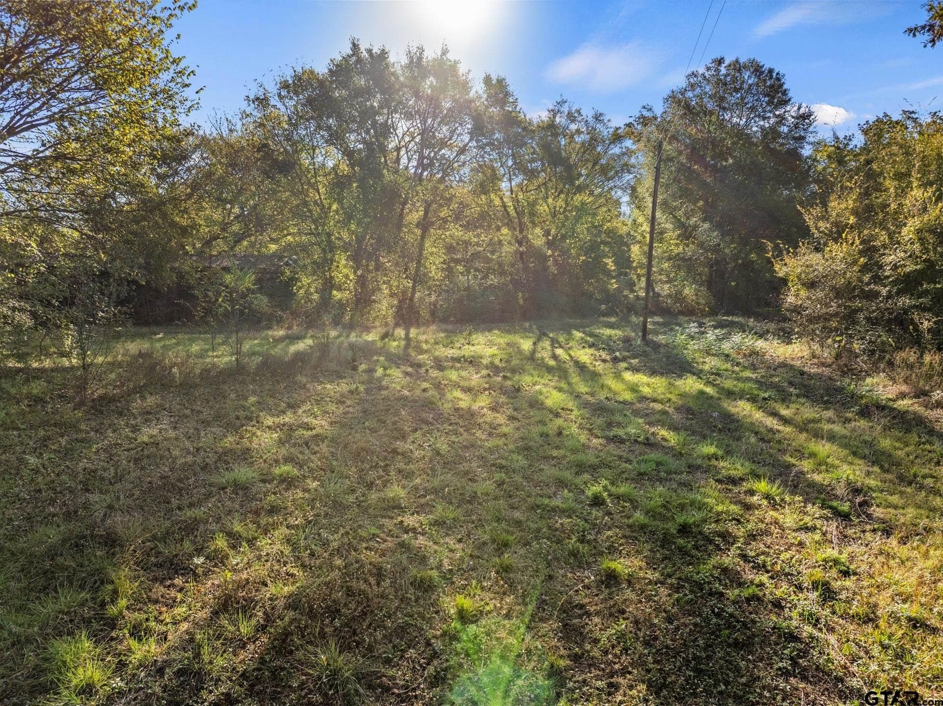 15.32 acres in Titus County - photo 17