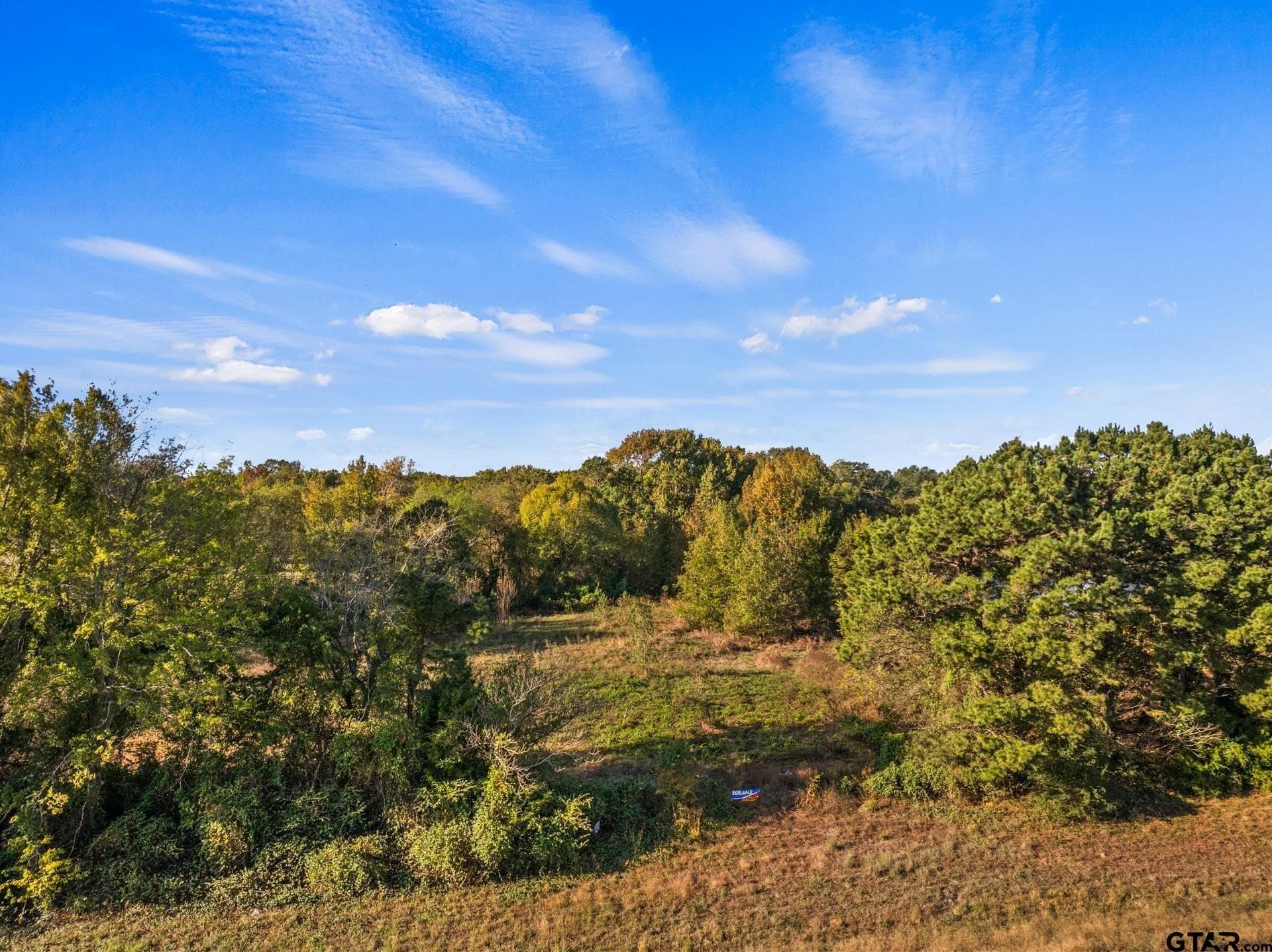 15.32 acres in Titus County - photo 12