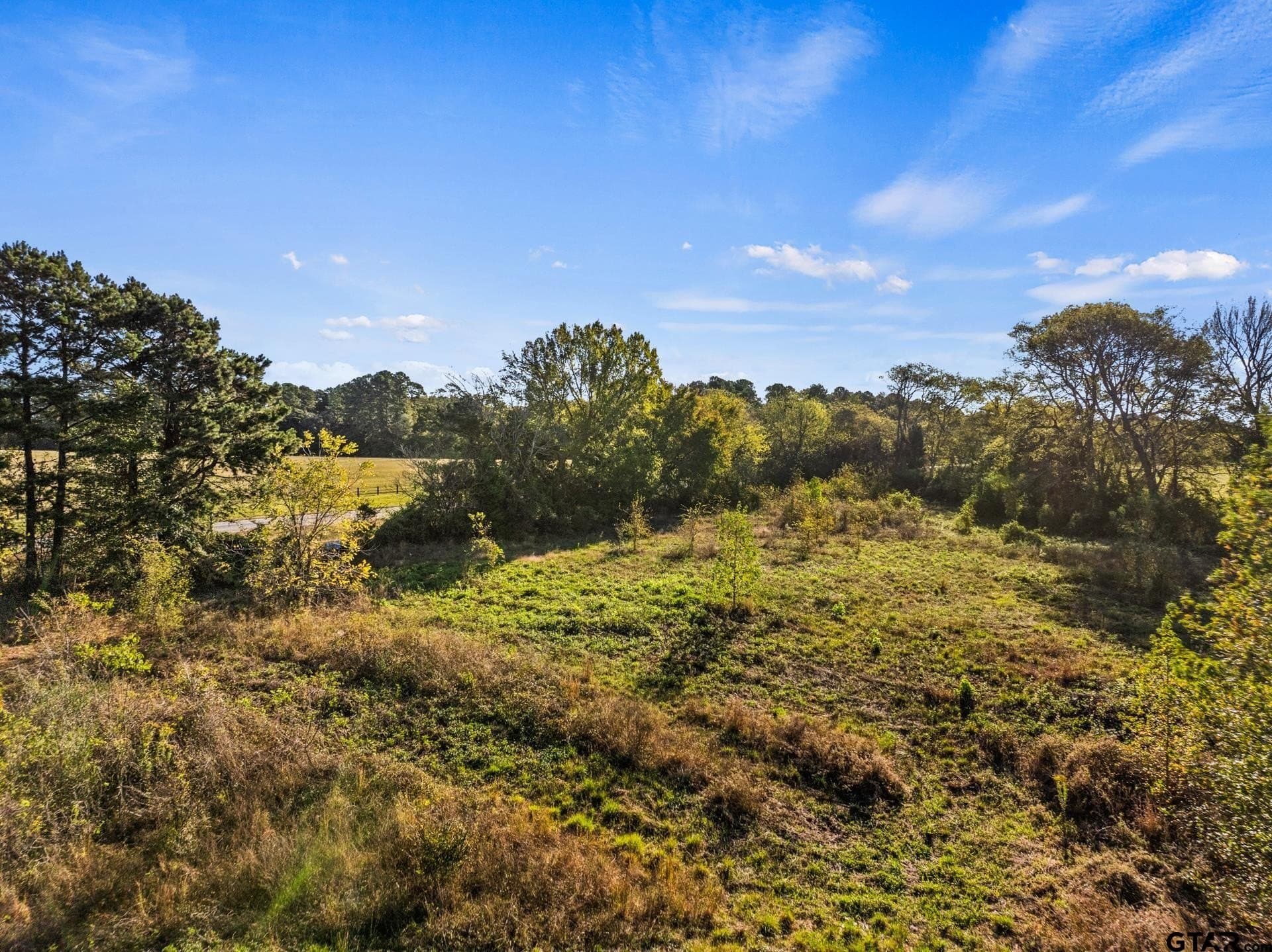 15.32 acres in Titus County - photo 13