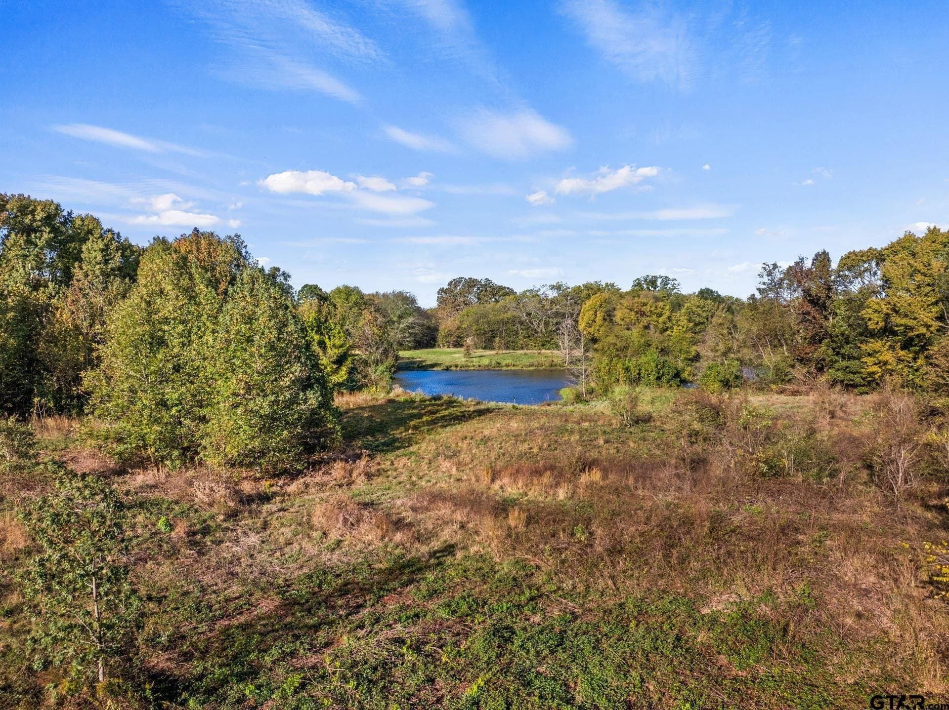 15.32 acres in Titus County - photo 11