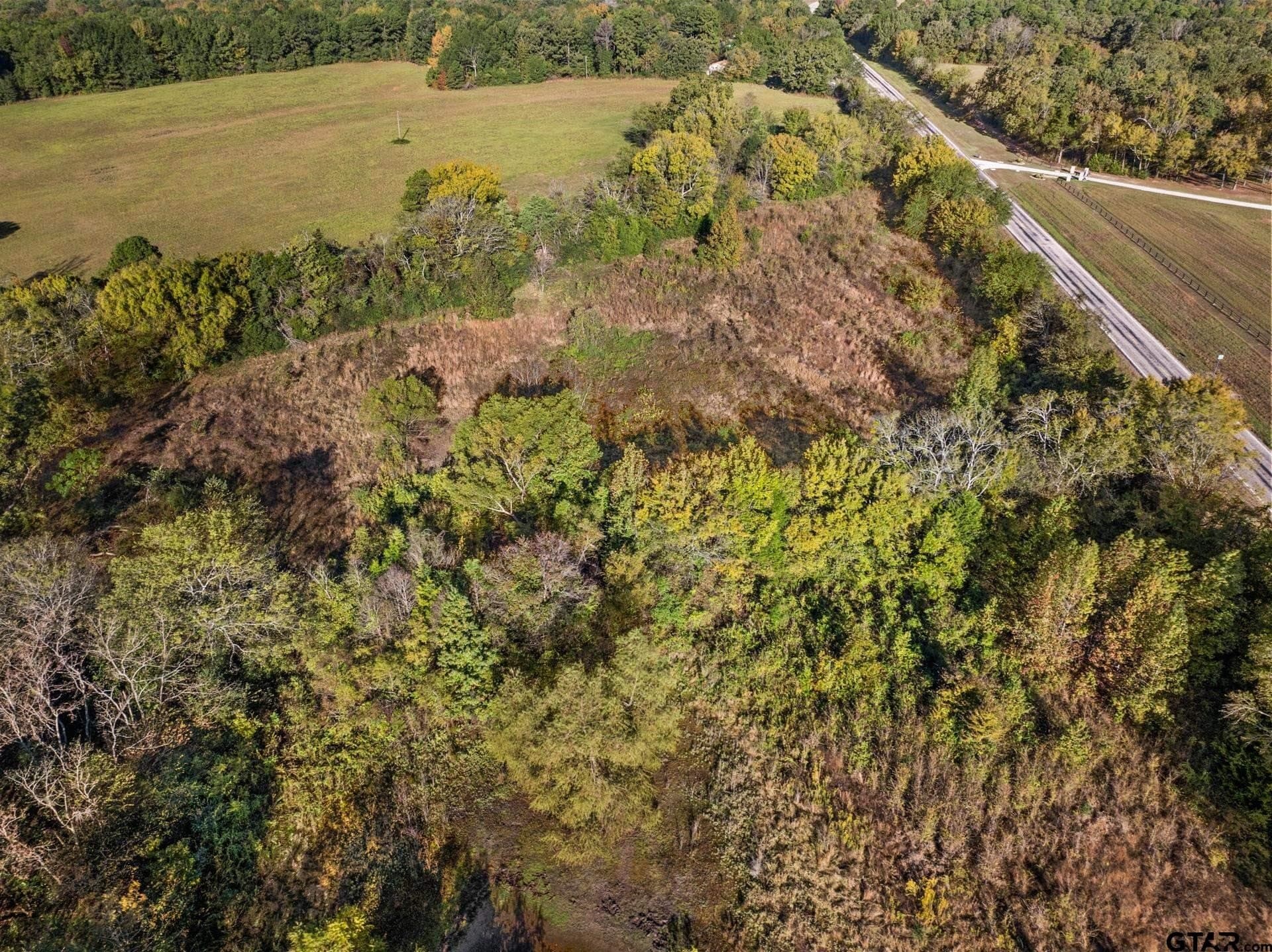 15.32 acres in Titus County - photo 9