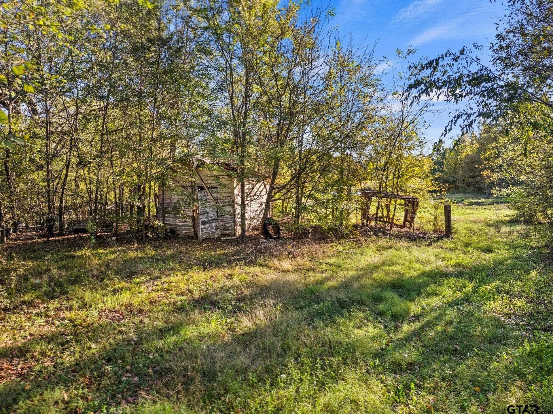 15.32 acres in Titus County - photo 16