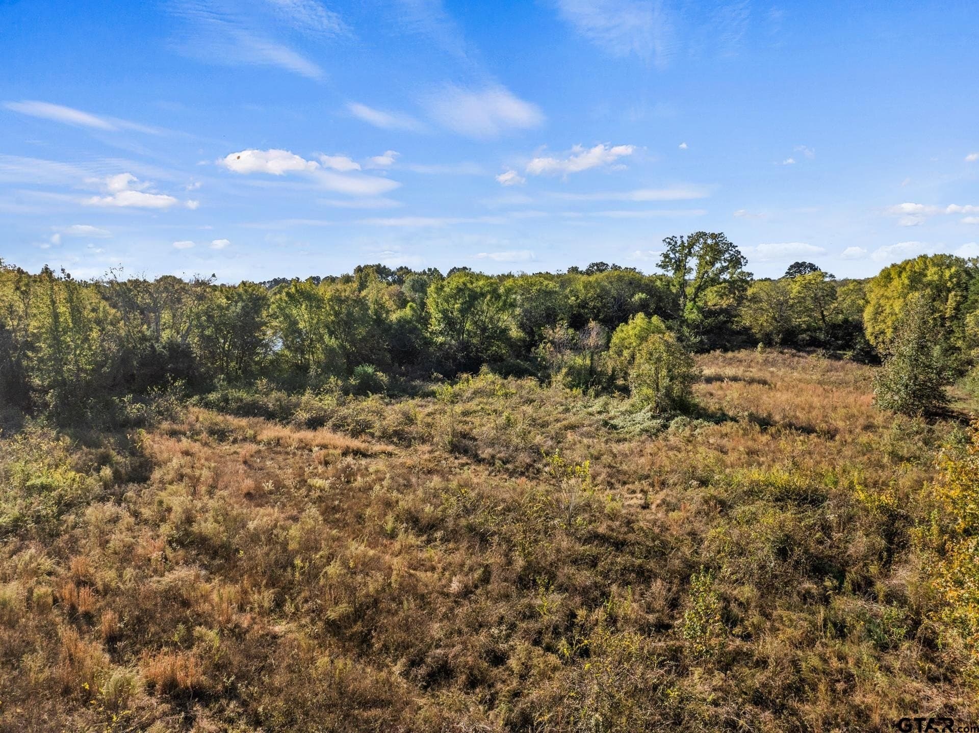 15.32 acres in Titus County - photo 8