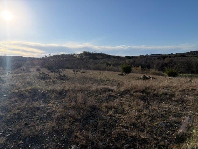 2.01 acres in Palo Pinto County - photo 3