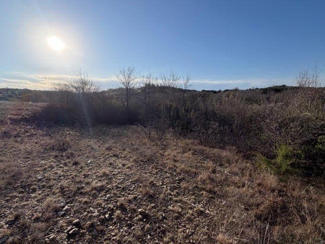 2.01 acres in Palo Pinto County - photo 7