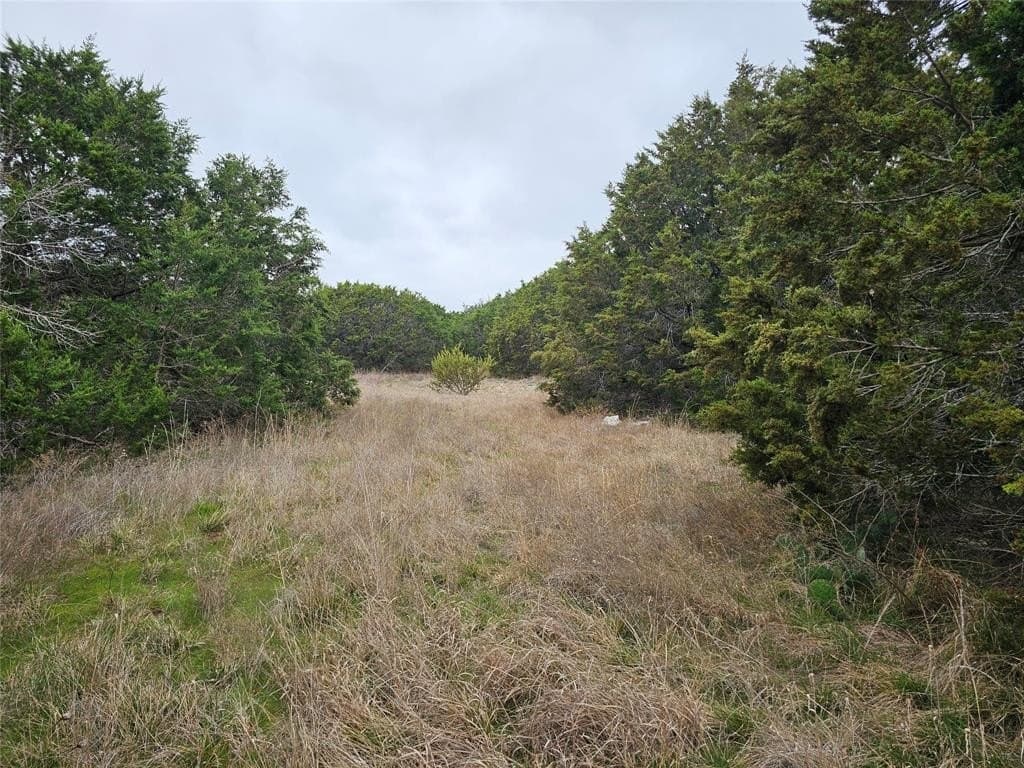 1 acres in Parker County gallery image 4