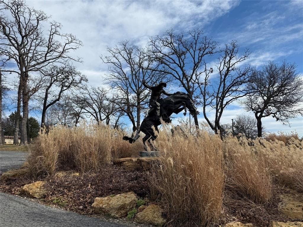 1.86 acres in Grayson County gallery image 2