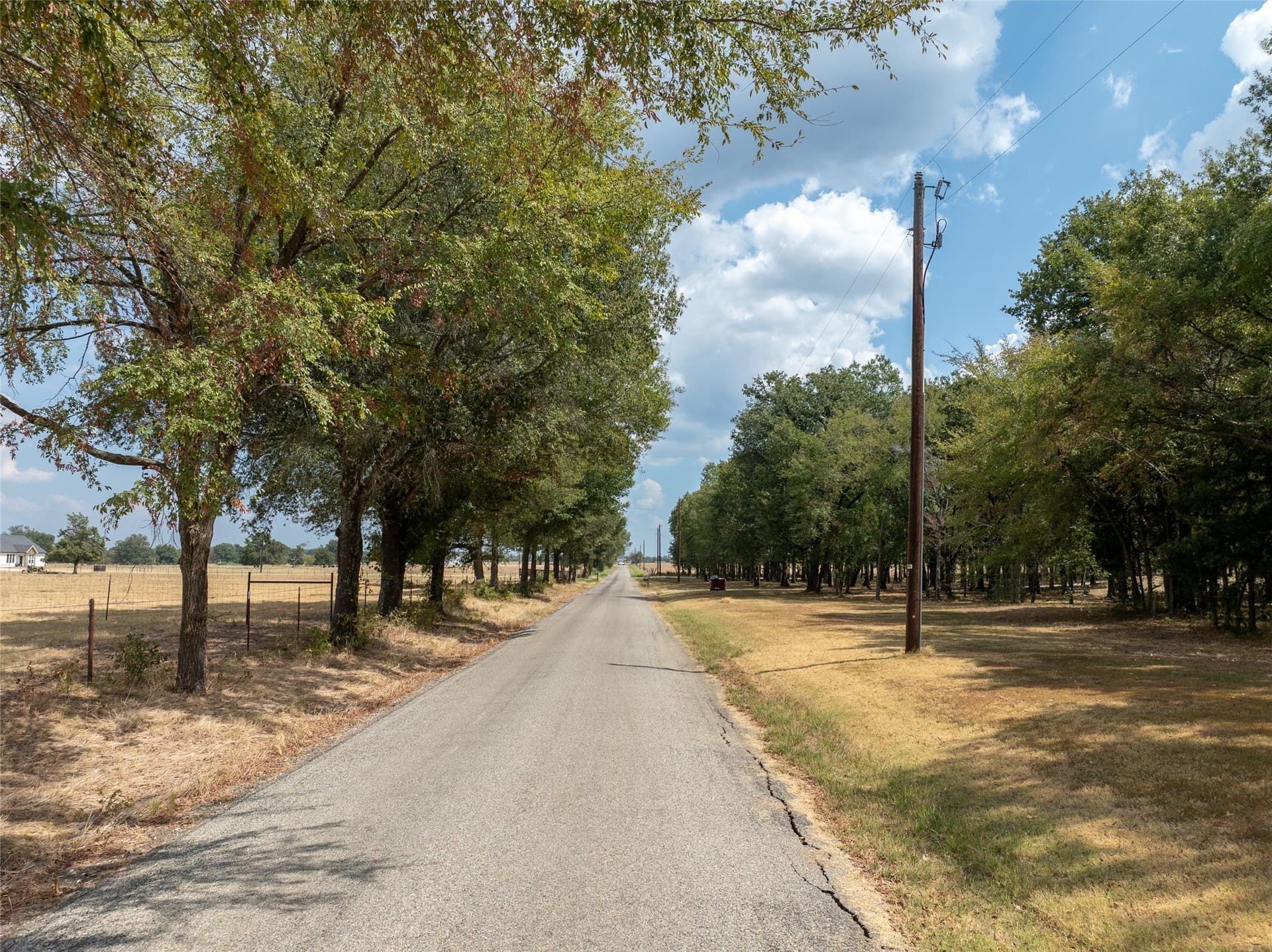 20.5 acres in Lamar County - photo 12