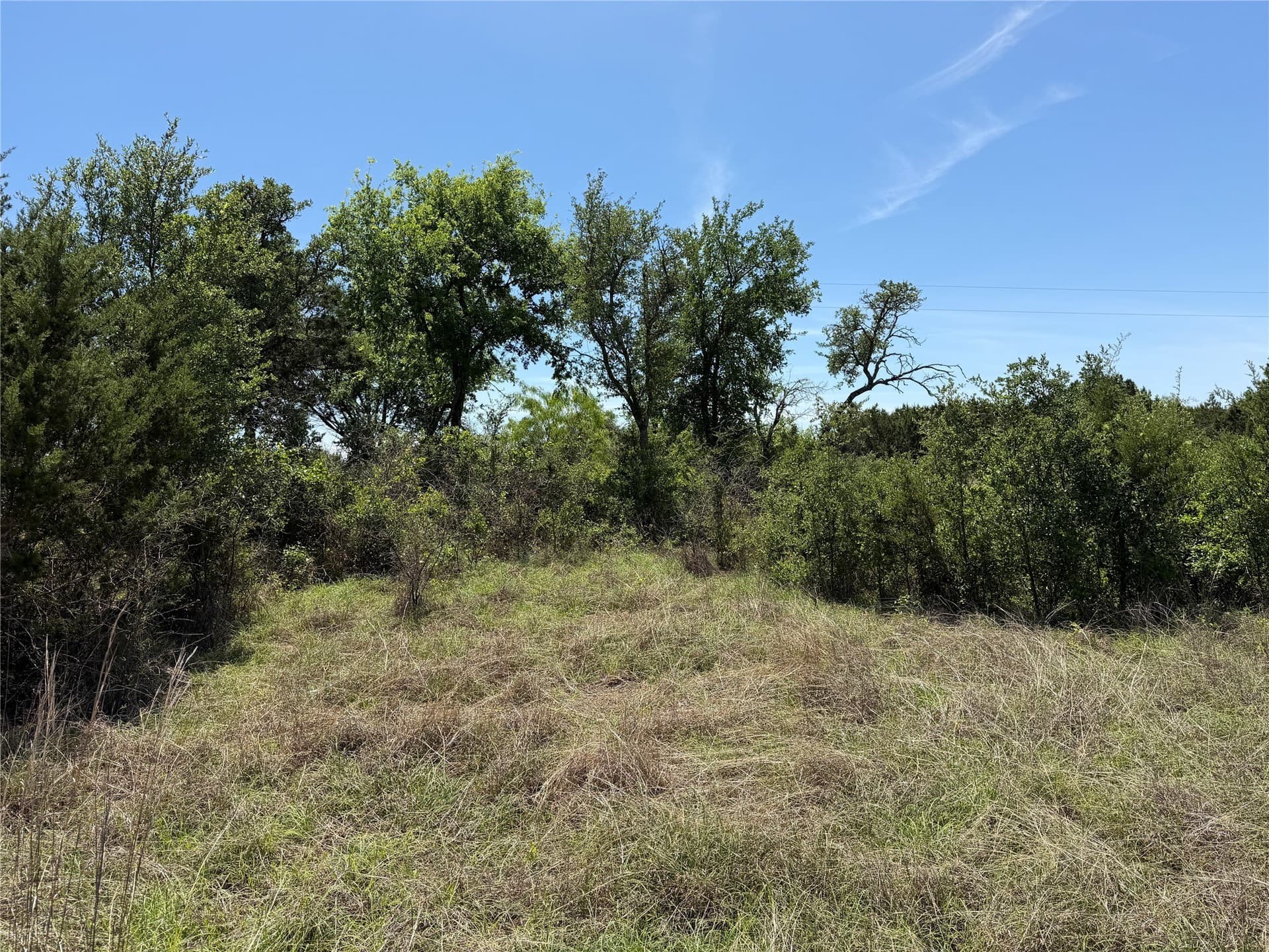 10.01 acres in Hamilton County gallery image 3