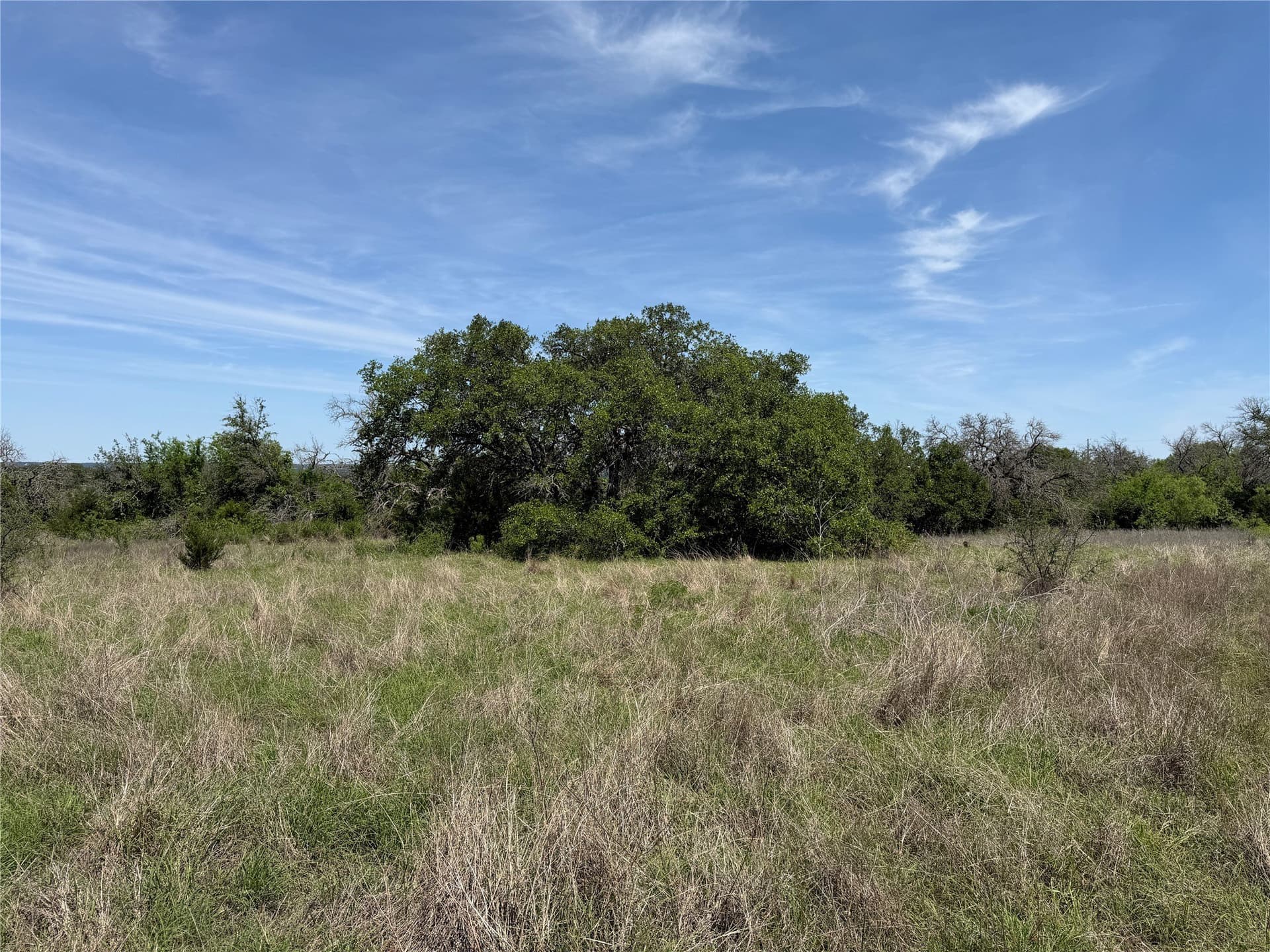 10.01 acres in Hamilton County - photo 9