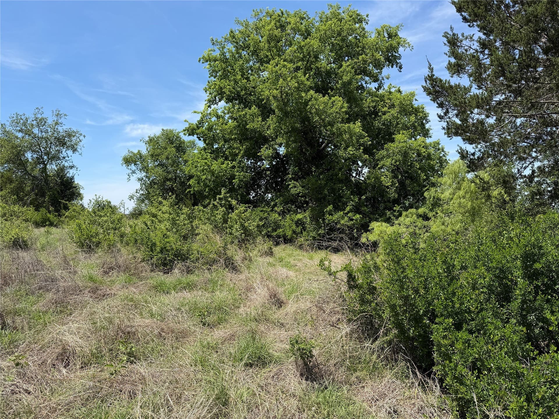 10.01 acres in Hamilton County featured view