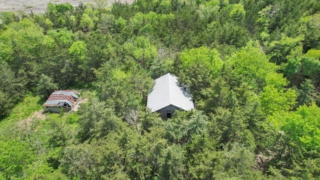 43.62 acres in Lamar County gallery image 4