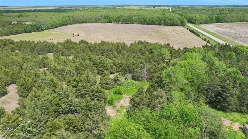43.62 acres in Lamar County featured view