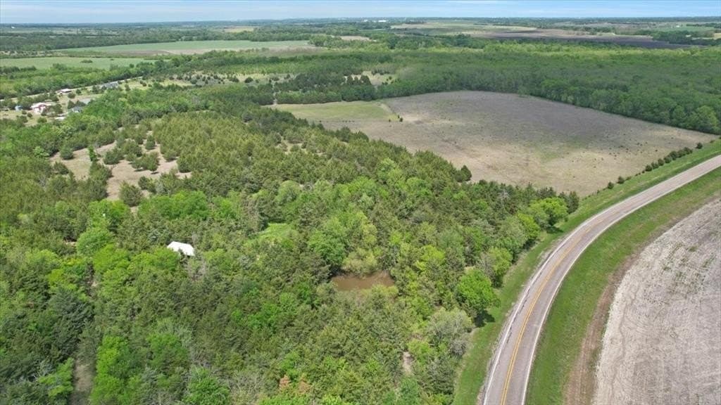 43.62 acres in Lamar County gallery image 3