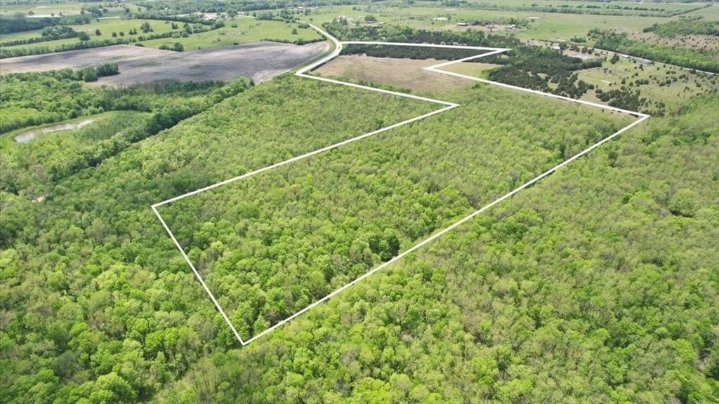 43.62 acres in Lamar County gallery image 2