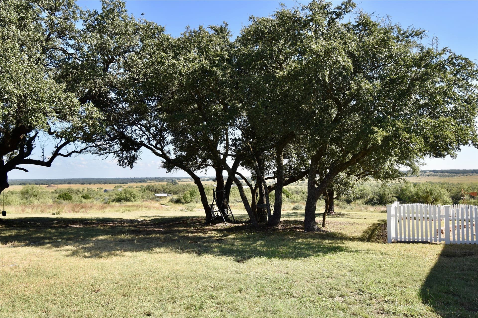 47.46 acres in McCulloch County gallery image 3