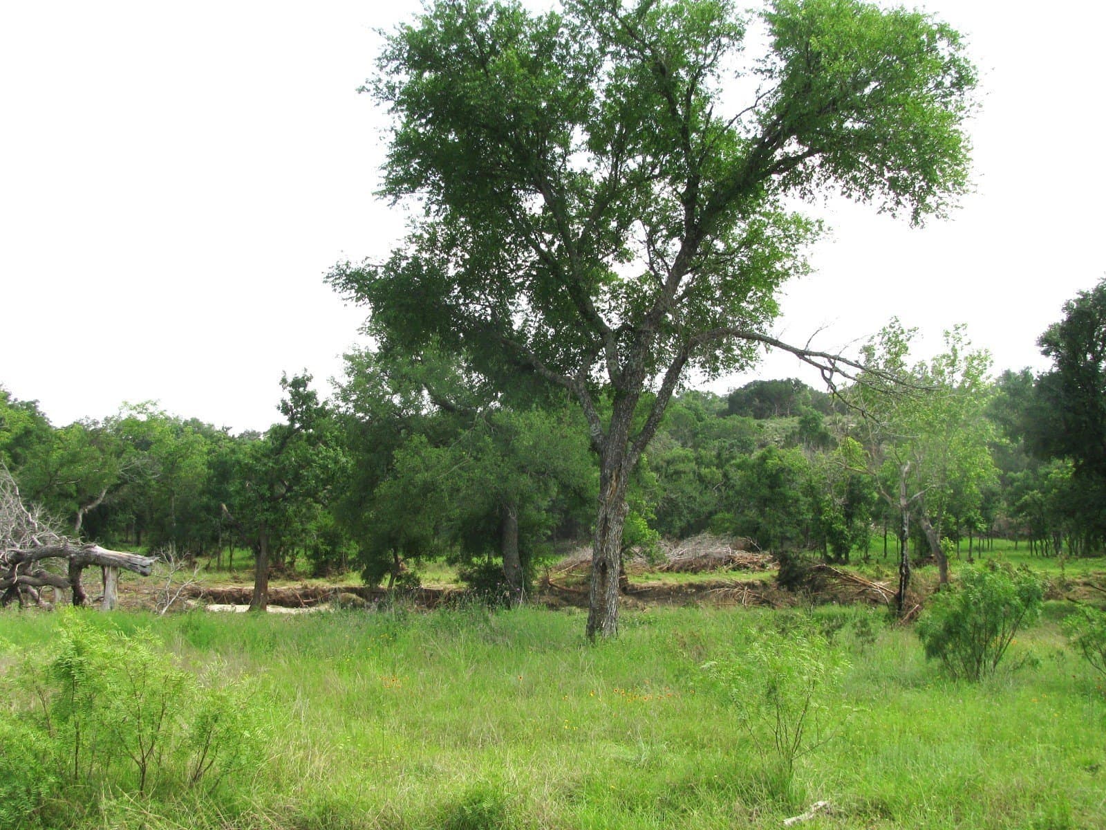 10.01 acres in Hamilton County - photo 12
