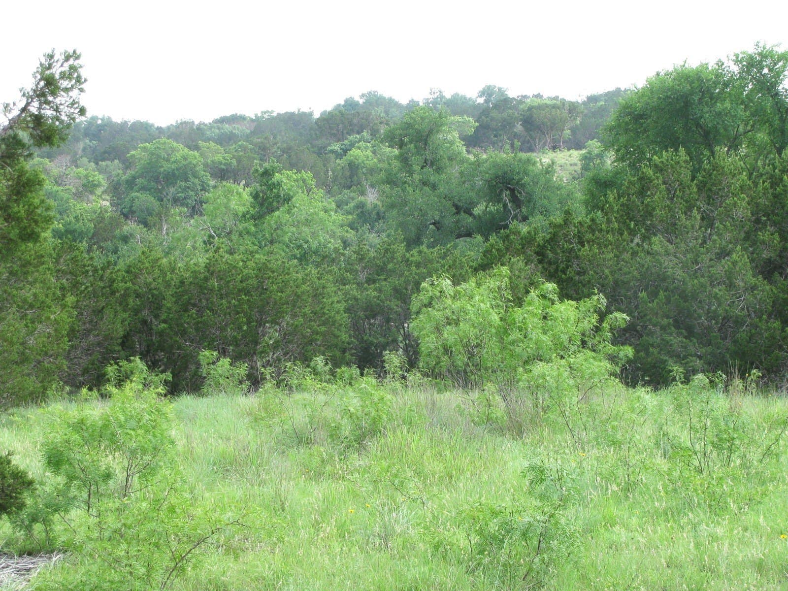 10.01 acres in Hamilton County - photo 2
