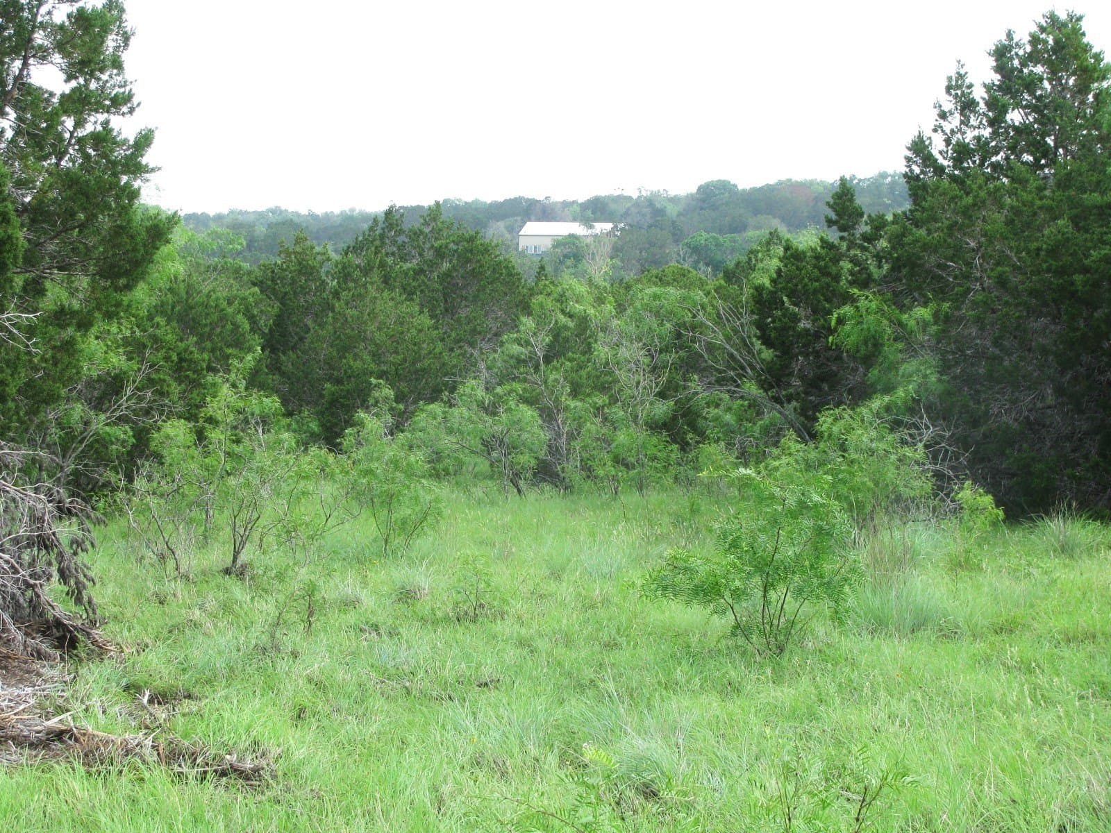 10.01 acres in Hamilton County - photo 10