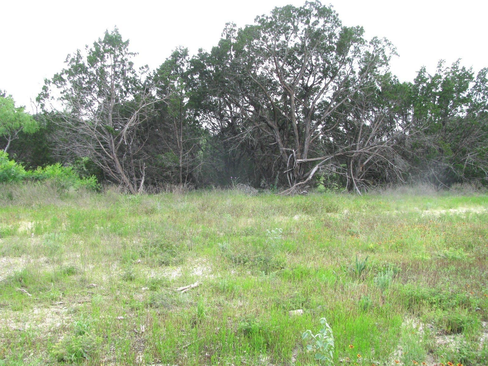 10.01 acres in Hamilton County - photo 19