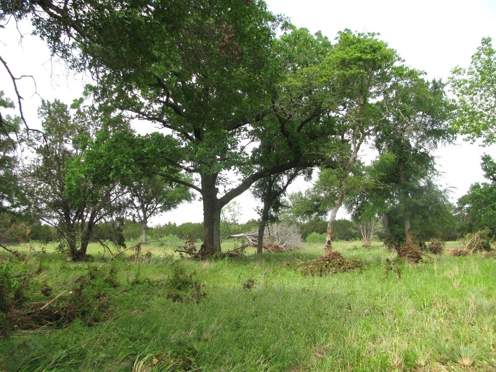 10.01 acres in Hamilton County - photo 13