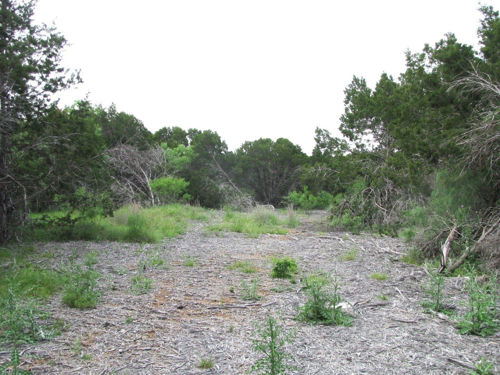 10.01 acres in Hamilton County - photo 18