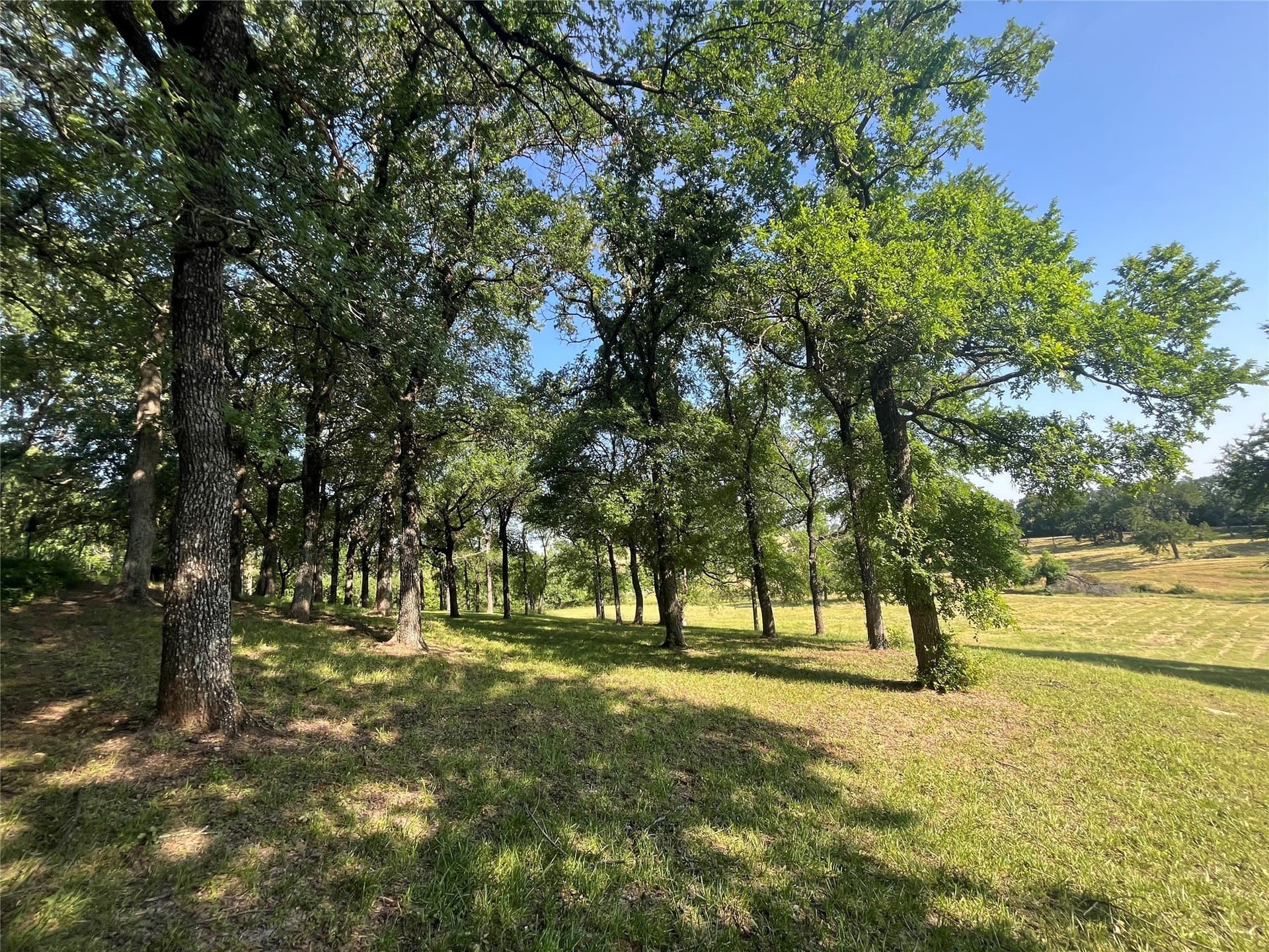 8.79 acres in Grayson County - photo 14
